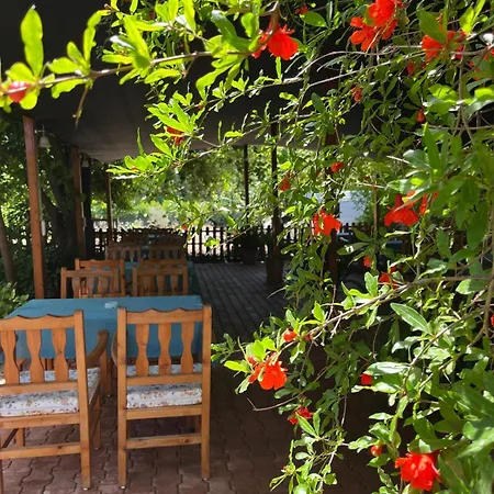Hotel Olympos Yavuz *