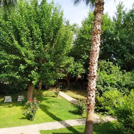 Olympos Yavuz * Çıralı
