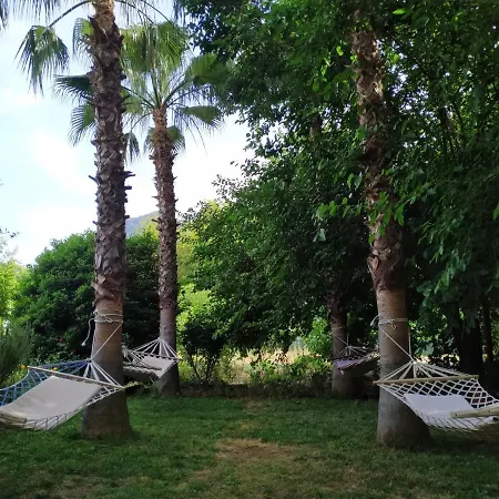Olympos Yavuz Hotel *