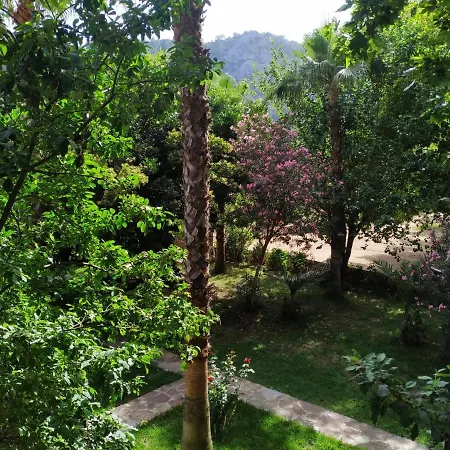 Olympos Yavuz * Çıralı