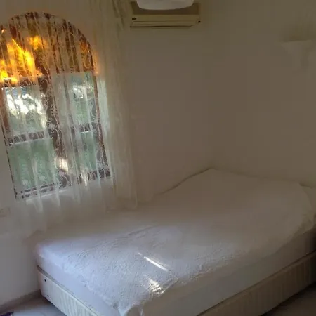 Olympos Yavuz Çıralı