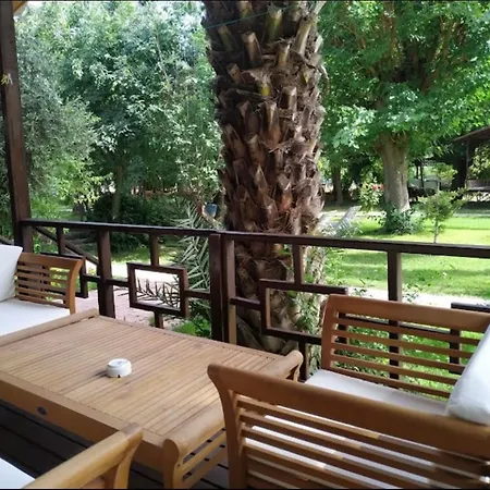 Hotel Olympos Yavuz *