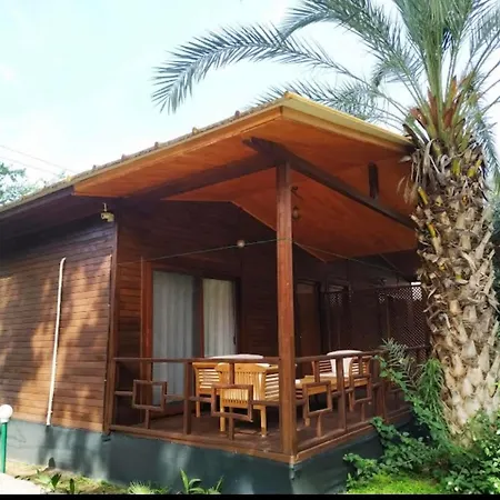 Hotel Olympos Yavuz Çıralı