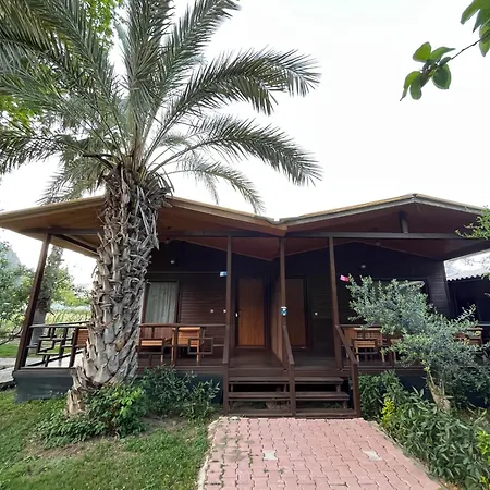 Olympos Yavuz Hotel
